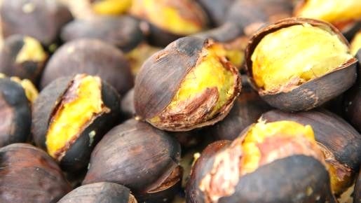 <Web割対象商品>【キングツアーバス旅】焼き物の里 笠間・笠間稲荷神社菊祭りと名産笠間の栗のモンブラン・焼き栗のお持ち帰り〔調布発〕2